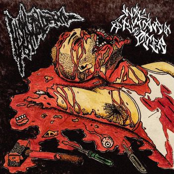 High on Formaldehyde / Wvlmvrt Shooter - Split (2025)