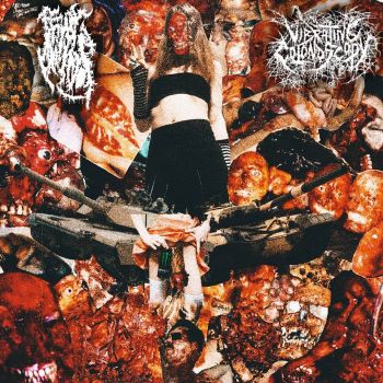 Vibrating Colonoscopy / Femboy Annihilator - Split (2025)