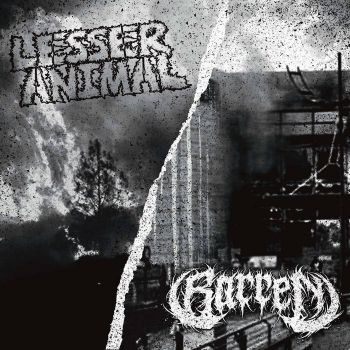 Lesser Animal / Barren - Split (2025)