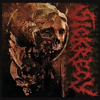 Sickrecy / Distaste - Split (2025)