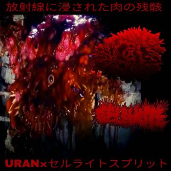 URAN / Cellulite - Remnants of Flesh Soaked in Radiation (2025)