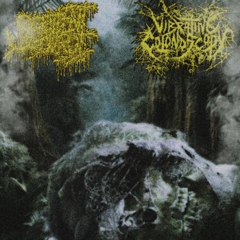 Vibrating Colonoscopy / Sentient Rot - Decompository (2025)
