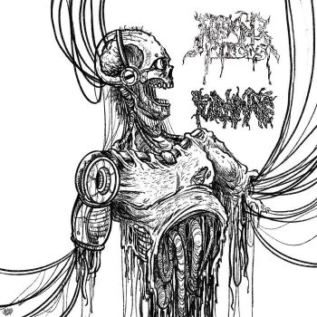 Reeking Pieces / Fulminate - Split (2025)