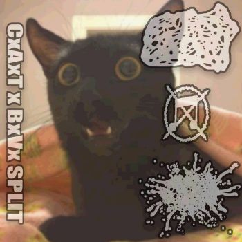 CxAxT / Botched Vasectomy - Split (2025)