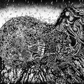 Putrefaction Sets In / FesterDecay - Split (2025)