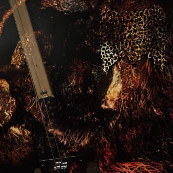 Genophobic Perversion - Two-Stringed Terror (2025)