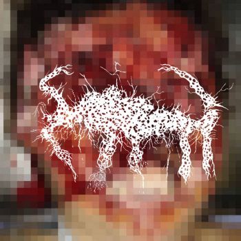 Craniofacial Degloving - Craniofacial Degloving (2025)