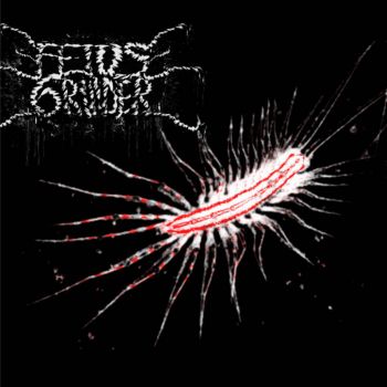 Fetus Grinder - Centipede Infestation (2025)