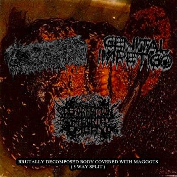 Inanimate Flesh / Genital Impetigo / Deformation of Aborted Embryo - Brutally Decomposed Body Covered with Maggots (2022)