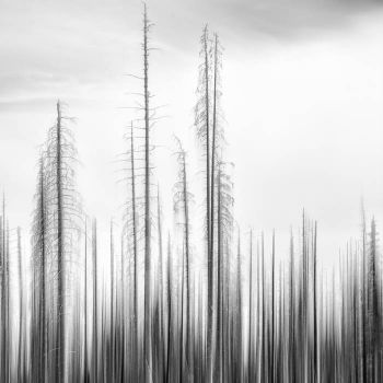 Gored - Away Where You Don't Exist (2025)