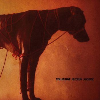 Still In Love - Recovery Language (2025)