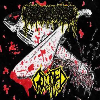 Final Heartbeat / Gorupted - Split (2025)