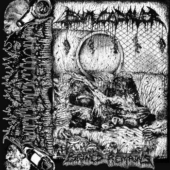Bum Cadaver - Brined Remains (2025)