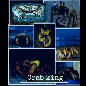 CxBxAxIxRxCxFx - Crab King (2025)