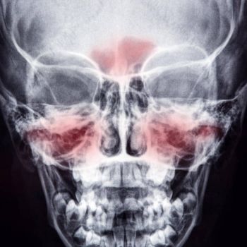 Konniption - Fight or Flight (2025)