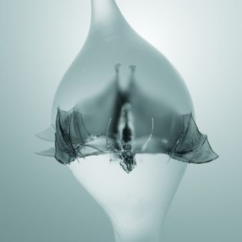 Unprocessed - Angel (2025)