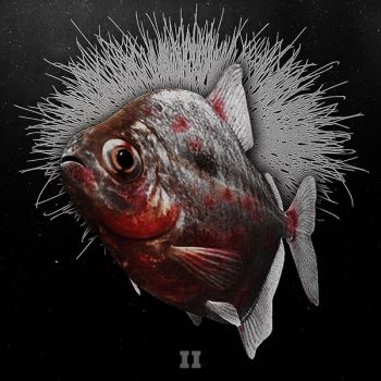 Saprolegnia - II (2025)