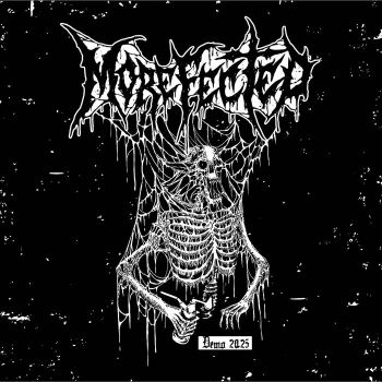 Morefected - Demo 2025 (2025)