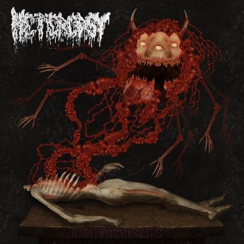 Heteropsy - Embalming (2025)