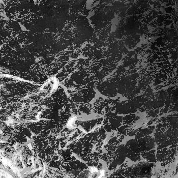 Wayd - Reinvent (2025)