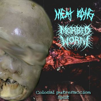 Morbid Worm / Meat Bong - Colosal Putrefaccion Split (2025)