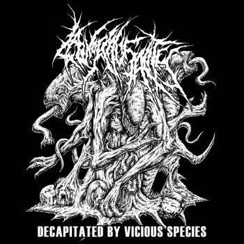 Law of Causality - Decapitated by a Vicious Species (2025)