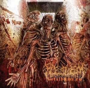 Fleshrot - Traumatic Reconfiguration (2010)