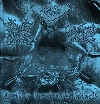 Vaginal Icecream & Asshole Suckers & Unlimited Madness - Depths Of Uncontrotable Instincts [Split] (2010)