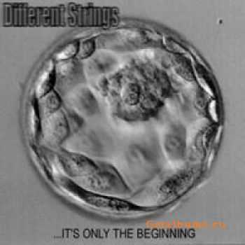 Different Strings - ...It's Only the Beginning (2006)