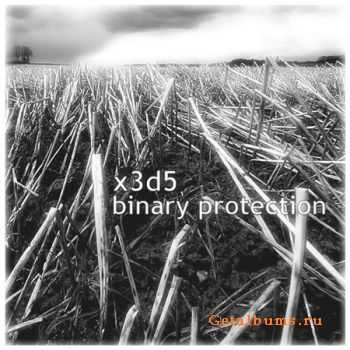 x3d5 - Binary Protection (2010)