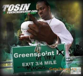 Tosin & Magno - Greenspoint Of View (2010) Tosin & Magno - Greenspoint Of View (2010)