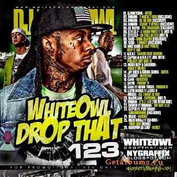 DJ Whiteowl - Whiteowl Drop That 123 (2010) DJ Whiteowl - Whiteowl Drop That 123 (2010)