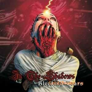 In The Shadows - Bleeding Tears (2010)