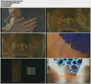  -  (1998)