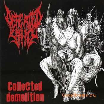   Defeated Sanity - Collected Demolition (2010)