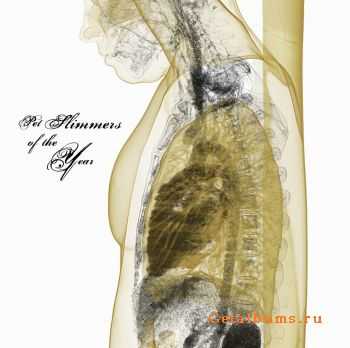 Pet Slimmers of the Year - ...And The Sky Fell [2010]