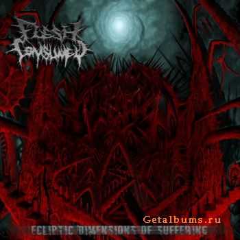 Flesh Consumed - Ecliptic Dimensions of Suffering (2010)