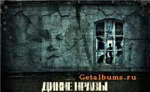 Seven Kings - Дикие нравы Seven Kings - Дикие нравы