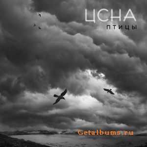 ЦСНА - Птицы (2007) ЦСНА - Птицы (2007)
