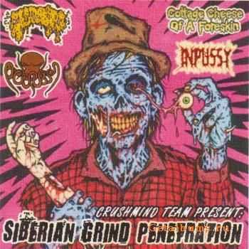 2010 - Siberian Grind Penetration [Split]