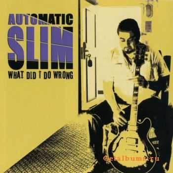 Automatic Slim - What Did I Do Wrong (2007)