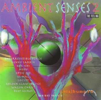 VA - Ambient Senses 2 The Feeling (1994)