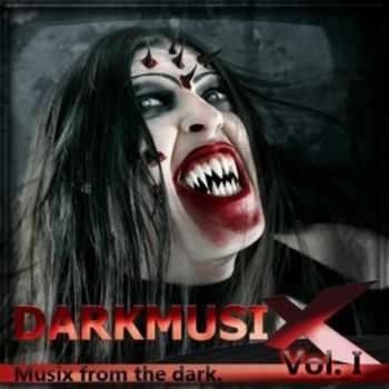 VA - DarkMusiX Vol. 1 (2010)