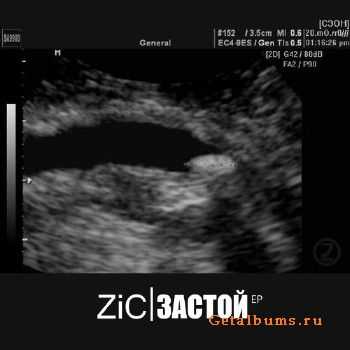 []: ZiC -  [EP] (2010)