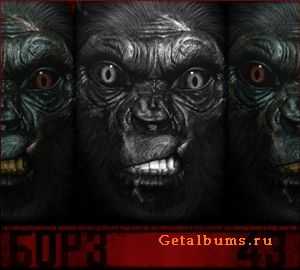 Б.О.Р.З. - 43 (2010) Б.О.Р.З. - 43 (2010)