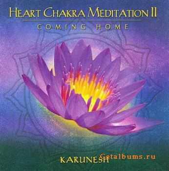 Karunesh - Heart Chakra Meditation II (2009) FLAC