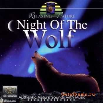 Daniel Donadi - Night of the Wolf (1996) Lossless