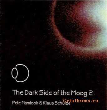 Pete Namlook & Klaus Schulze - The Dark Side of the Moog XI (2008) DTS 5.1