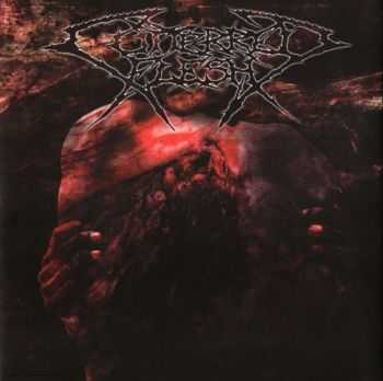 Smashed Face & Cutterred Flesh - Smashed Face/Cutterred Flesh [Split] (2009)