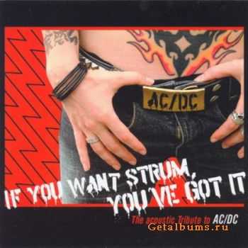 VA - If You Want Strum, You've Got It: The Acoustic Tribute to AC/DC (2006)